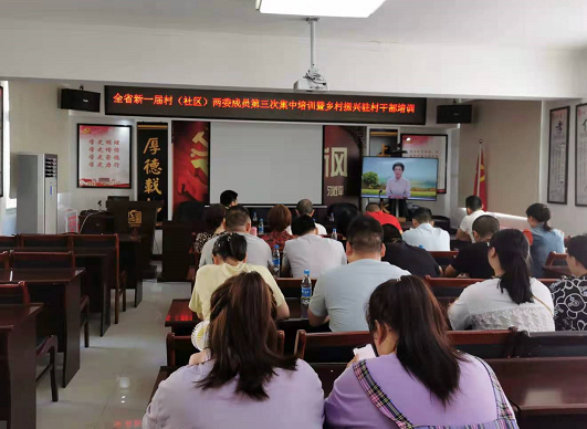新时代文明实践耀武陵“学党史 思党恩 践行动” 东苑社区开展党史学习教育系列活动