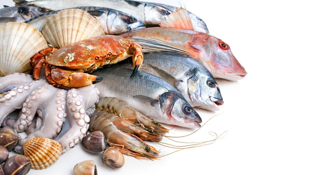 关于加强生鲜海产品和冷藏冷冻食品卫生监管的规定