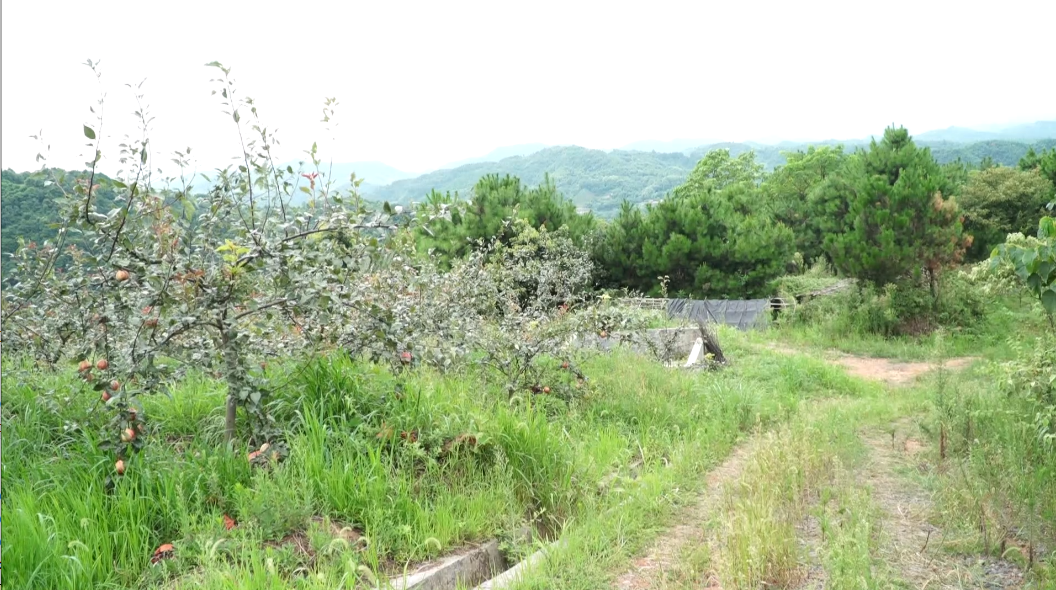 张峰华：贫困户变身创业者