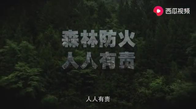 森林防火宣传片