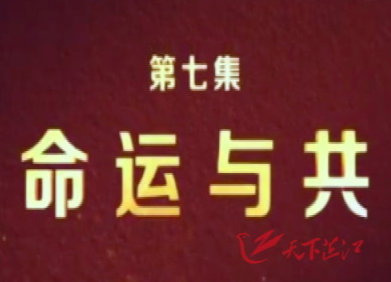 脱贫攻坚大型政论专题片《摆脱贫困》第七集 命运与共