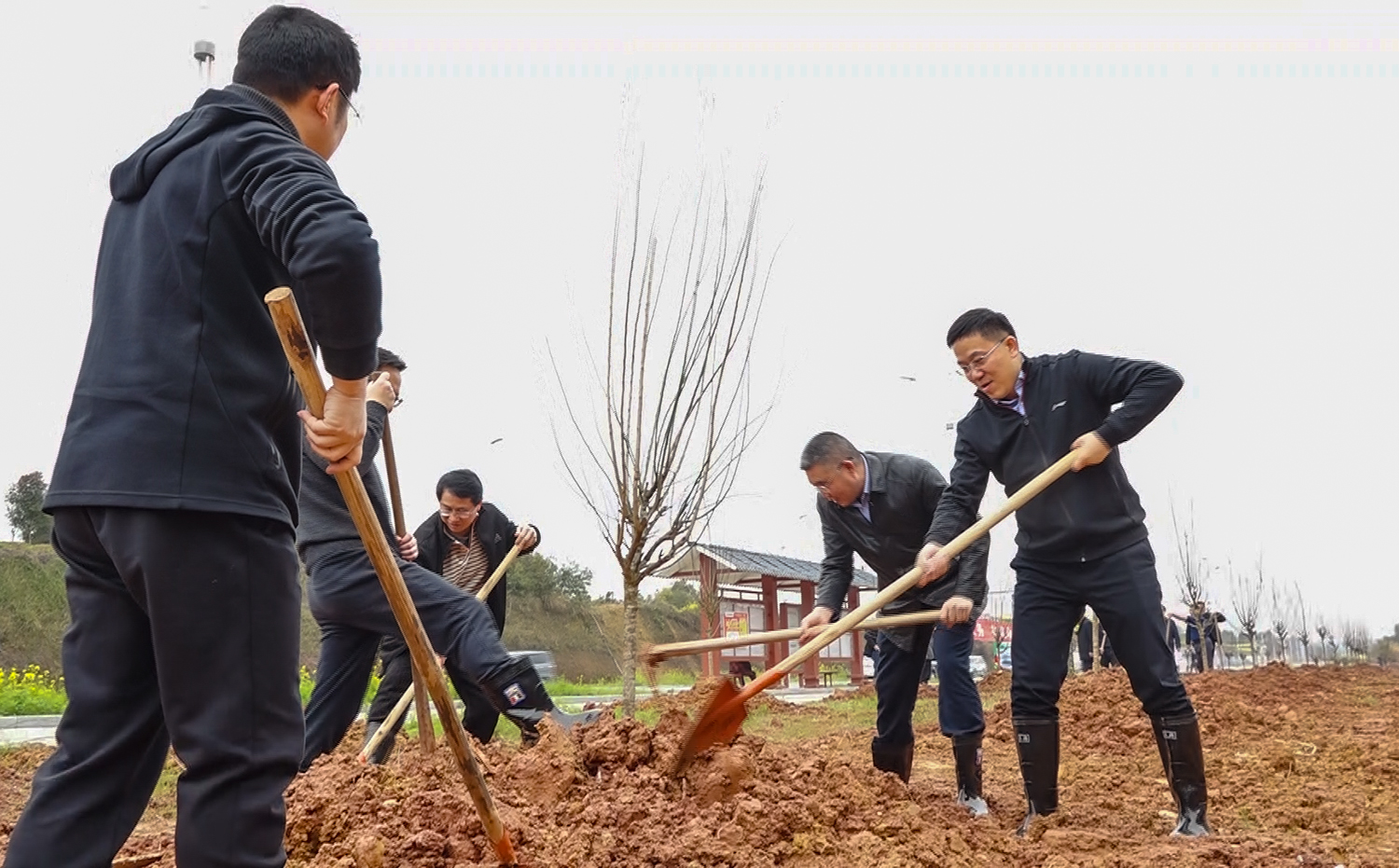 履行植树义务，共建森林城市 龚红果 王海涛等参加义务植树活动