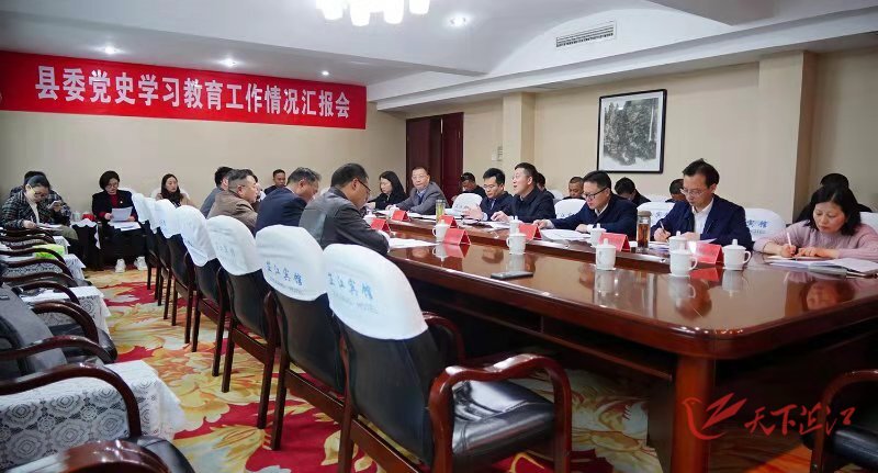 市委党史学习教育第四巡回指导组到芷检查指导党史学习教育工作