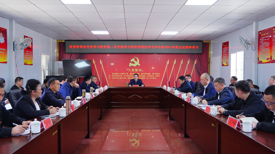 芷江县委常委会开展党史学习教育第二次专题学习暨理论学习中心组集体学习