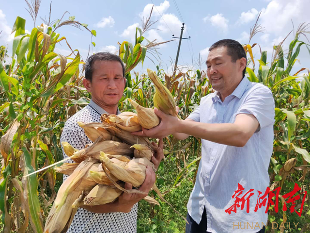 報慶有獎?wù)魑?|《法制周報》是我最愛的一道“菜”