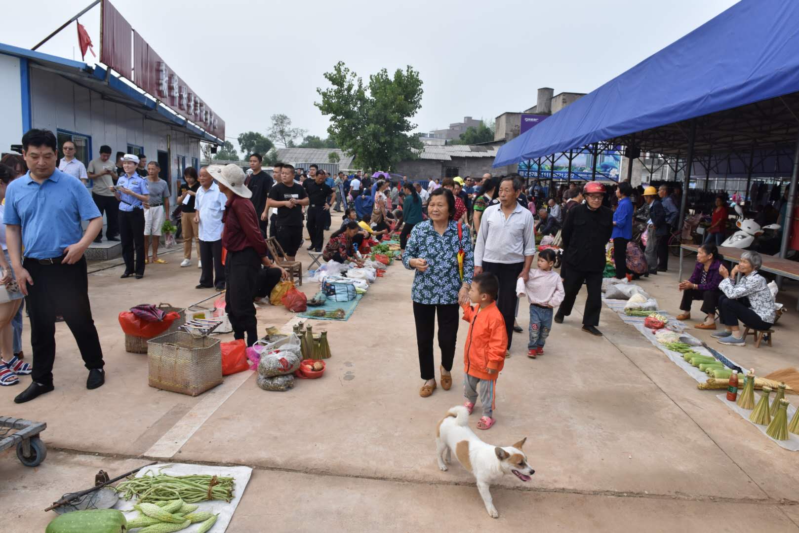 整治顽瘴痼疾 安全文明出行| 湘潭马路市场之变