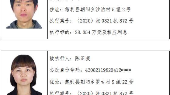 慈利县人民法院 失信被执行人名单曝光台 （2020年第十三期）