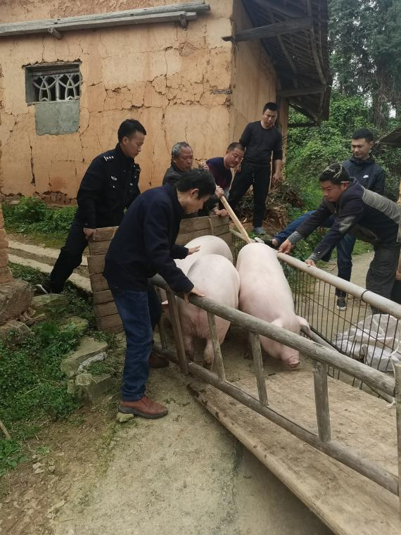 執(zhí)行干警化身“豬倌”“牛倌”促和解——平江法院一場特殊的溫情執(zhí)行獲群眾點贊