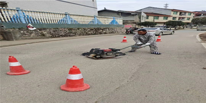 桐木镇：村民义务填补路坑，让群众出行无忧