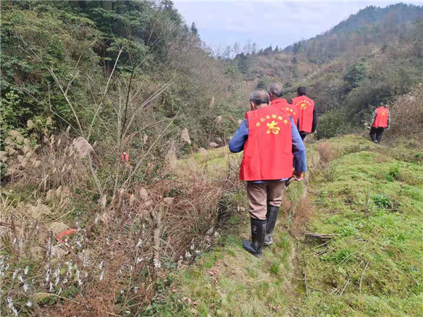 桐木镇：消除森林火灾隐患  志愿者在行动
