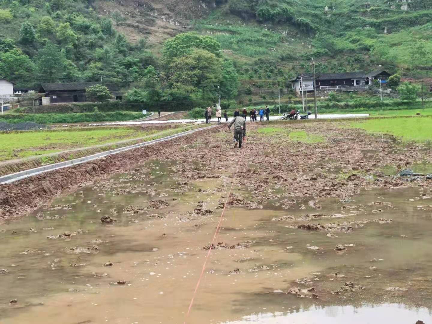 桐木镇：加快推进高标准农田建设