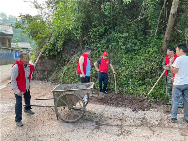 桐木镇楠木铺村：党员当先锋，美化环境在行动