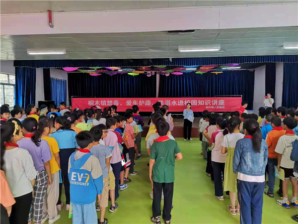 桐木镇:安全知识进校园，健康成长伴我行