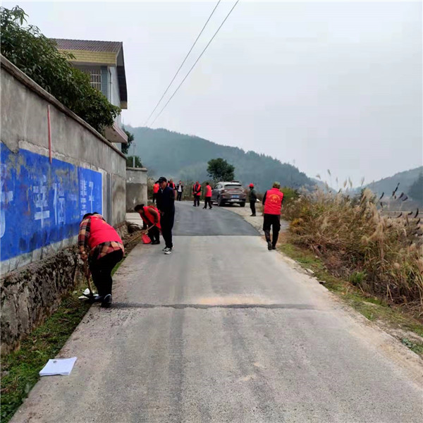 桐木镇宝寨村：全村上下齐发力 环境整治我先行