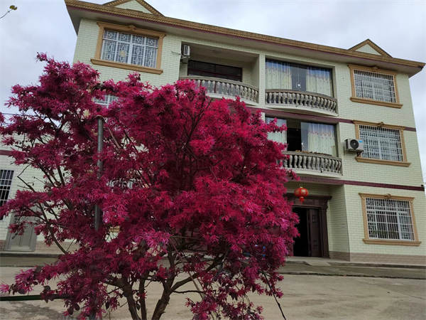 来自桐坪村的一封清廉家书