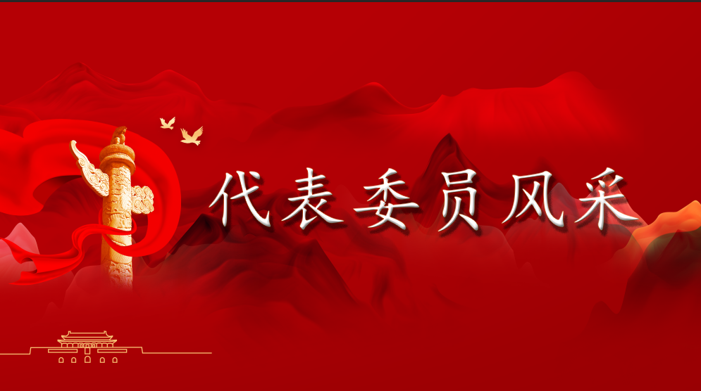 【代表委员风采】