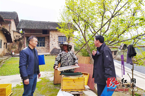 东安：蜂蜜酿出致富路