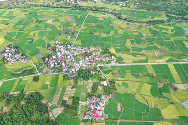 東安八復(fù)村：大地潑墨五彩畫，田園風(fēng)光收獲季