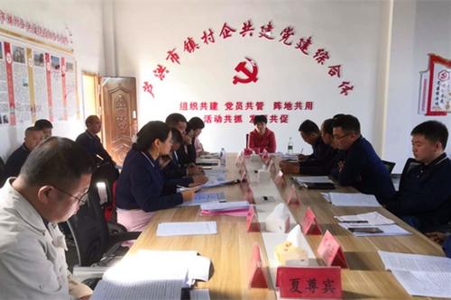 蘆洪市鎮召開村企共建黨建綜合體第一次聯席會議