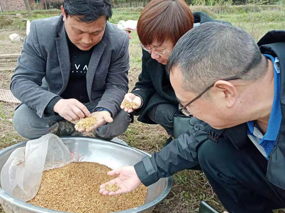 東安：農業(yè)科技特派員深入田間地頭助力春耕