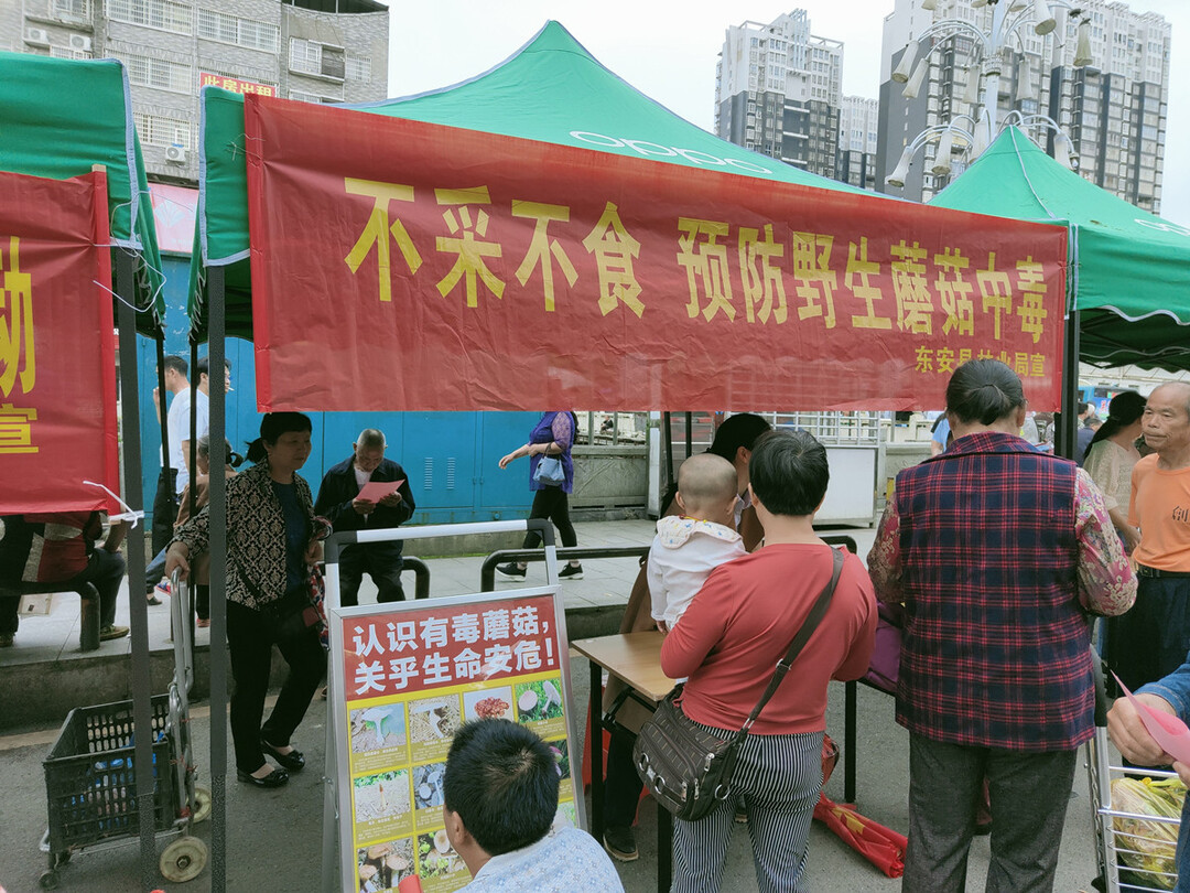 拒食野生蘑菇宣傳 東安林業(yè)人在行動(dòng)