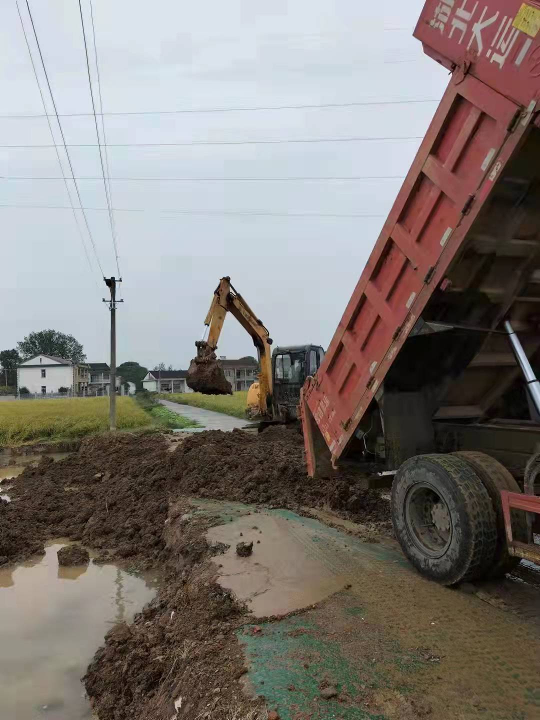 龙阳街道：一违法占用永久基本农田建仓储建筑物被依法强制拆除