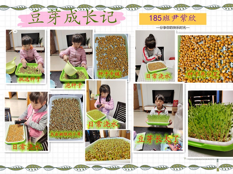 武陵区卫门口小学：春分至、豆芽生
