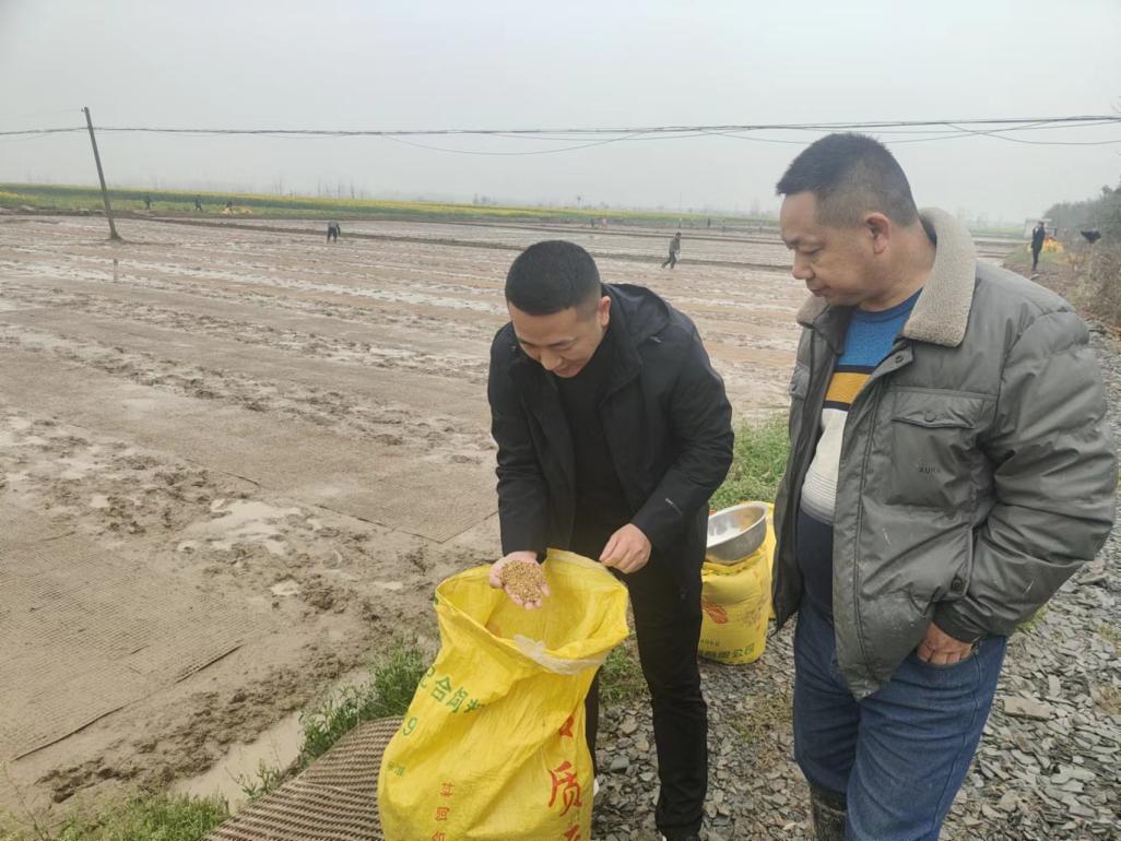 汉寿县沧港镇：春耕好时节 集中育秧忙