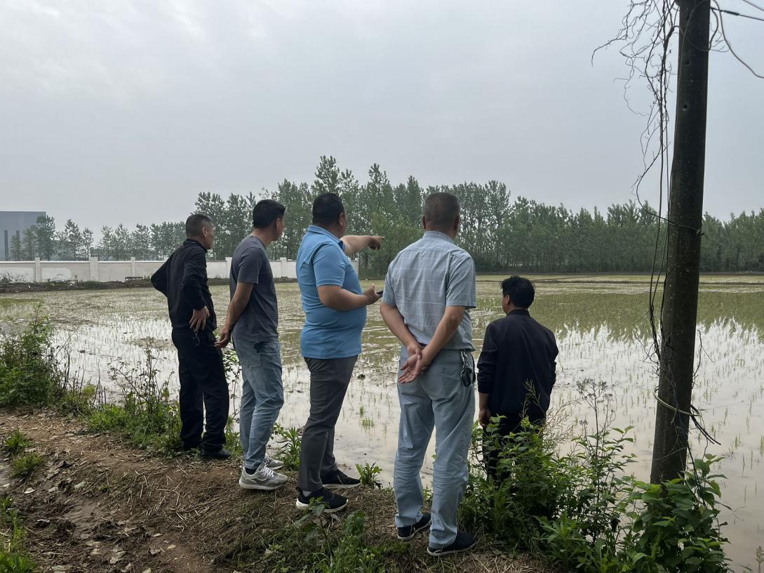 汉寿县沧港镇水利图斑整改“清零”  守护河湖生态