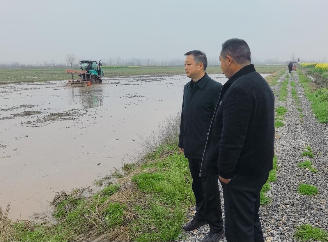 汉寿县沧港镇：抢抓农时育壮秧，筑牢粮食安全“压舱石”