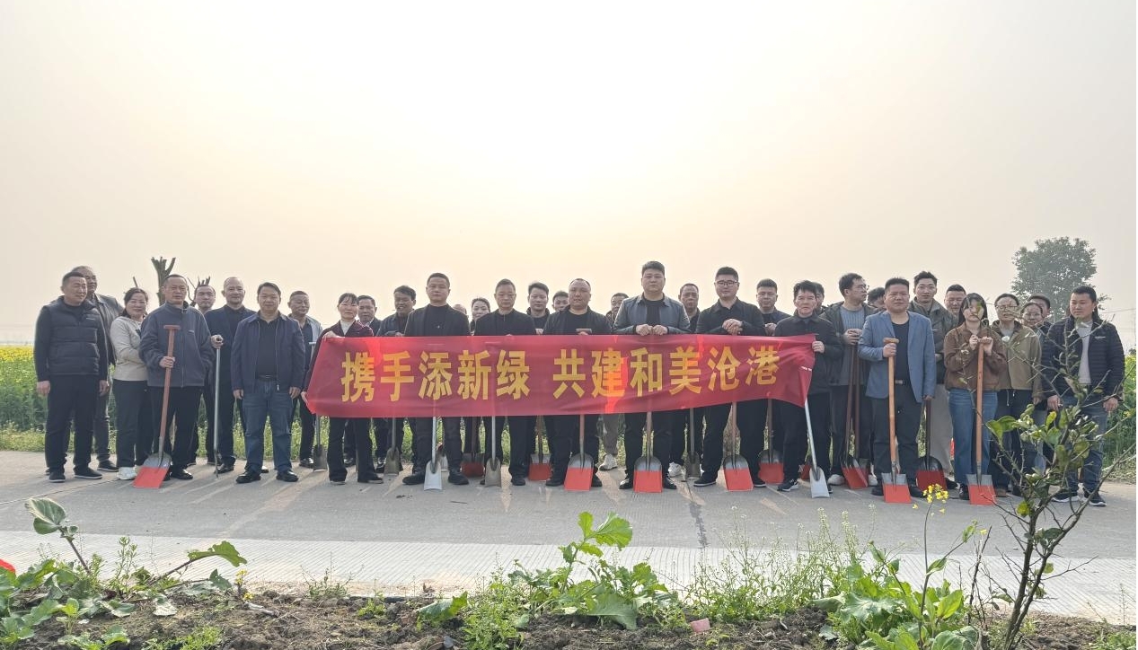 汉寿县沧港镇：携手添新绿 共建美丽沧港