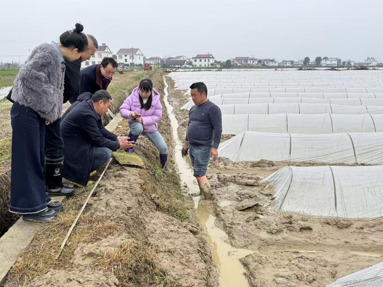 汉寿县沧港镇：农技员深入一线“把脉问诊”