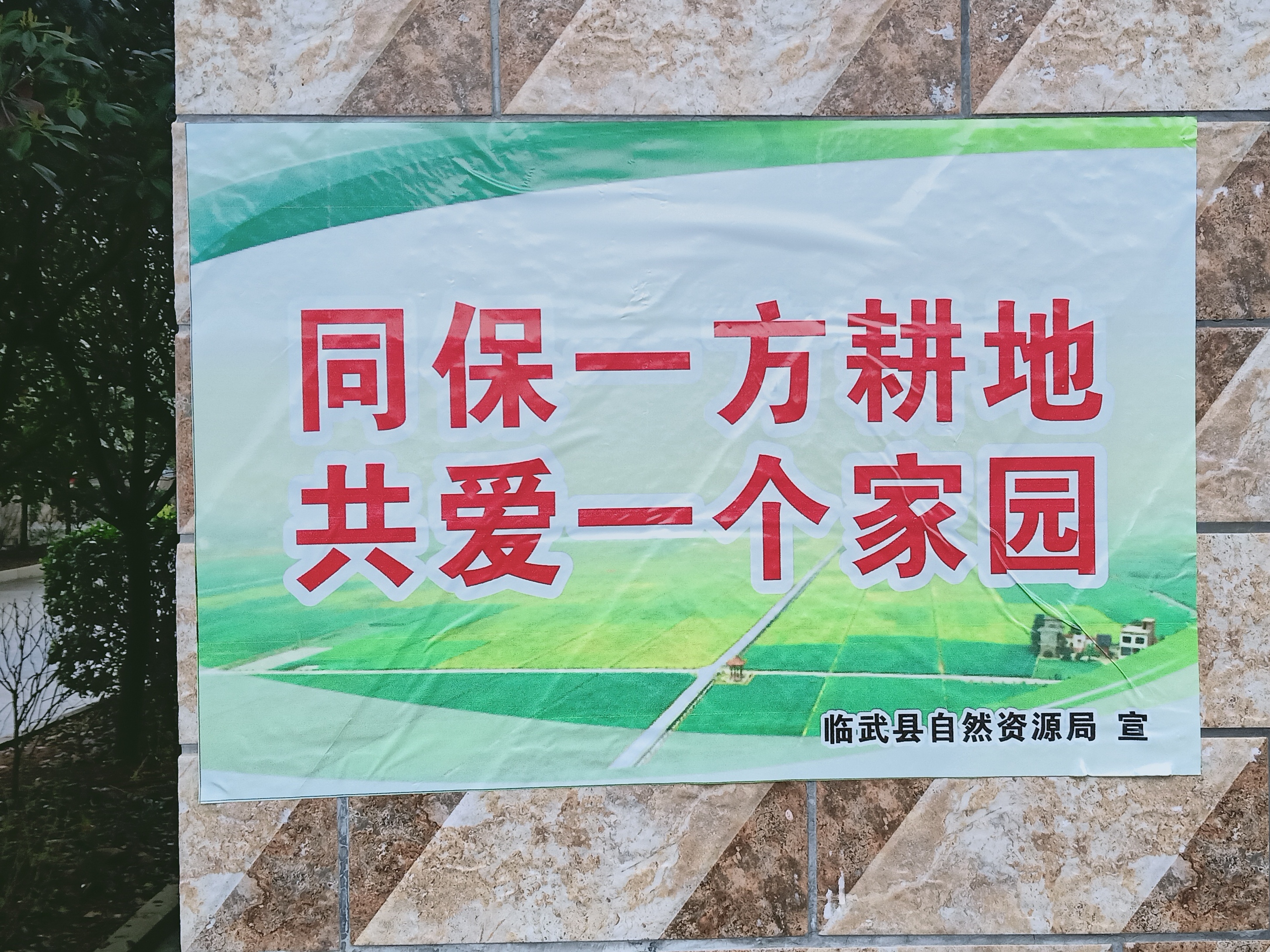 金江镇：同保一方耕地 共爱一个家园