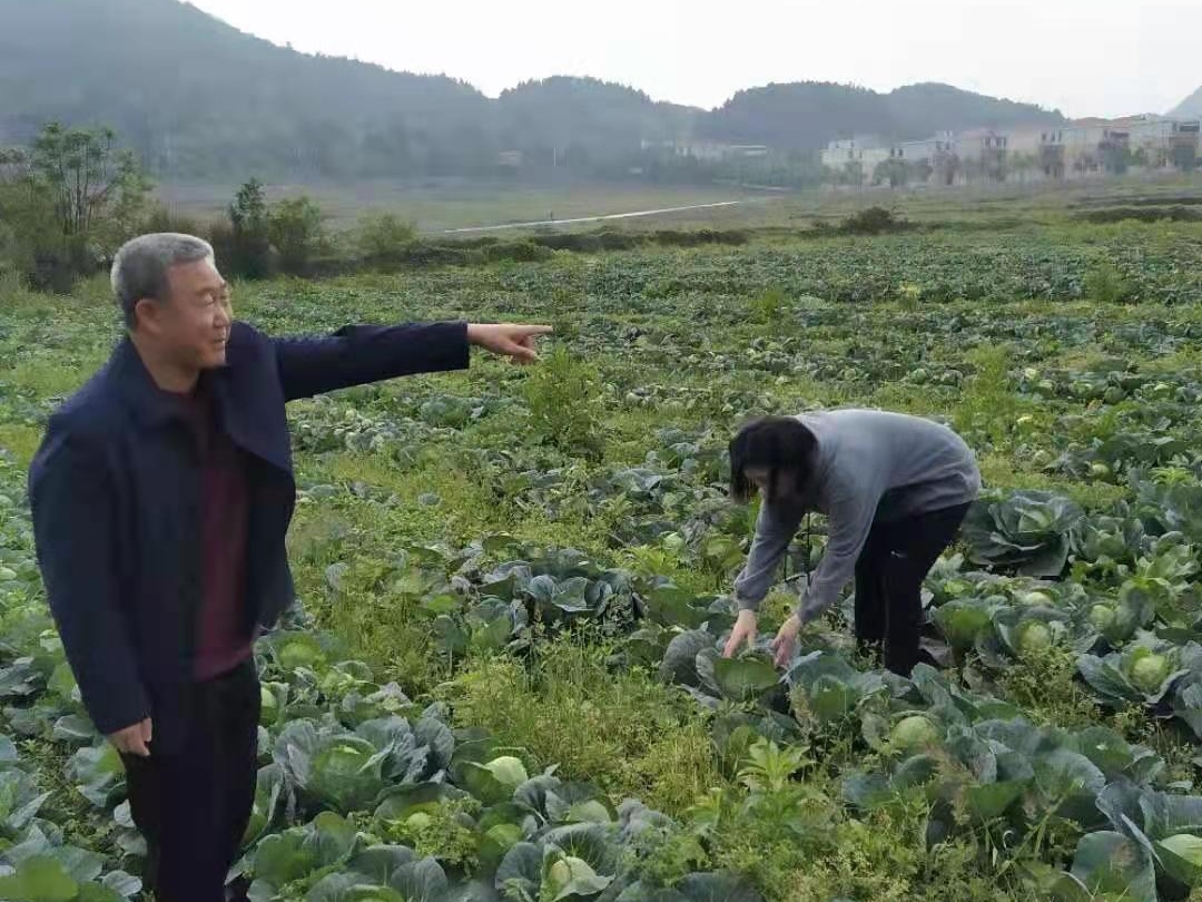 我为群众办实事 | 金江镇：摸底金融需求助力春耕生产