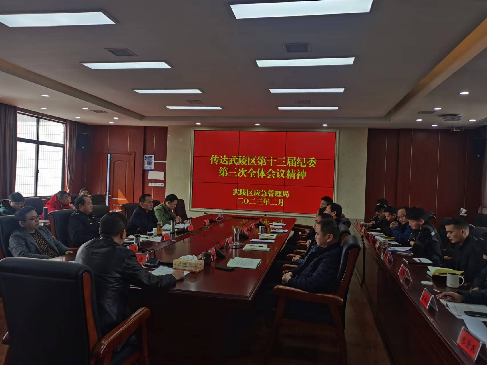 武陵区应急管理局传达区委第十三届纪委第三次全会精神