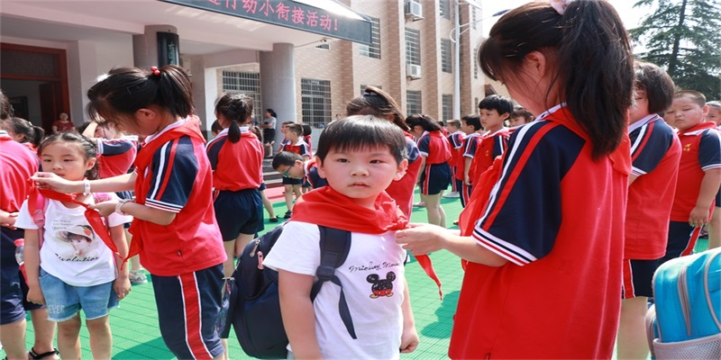 双观幼儿园：走进小学 体验成长