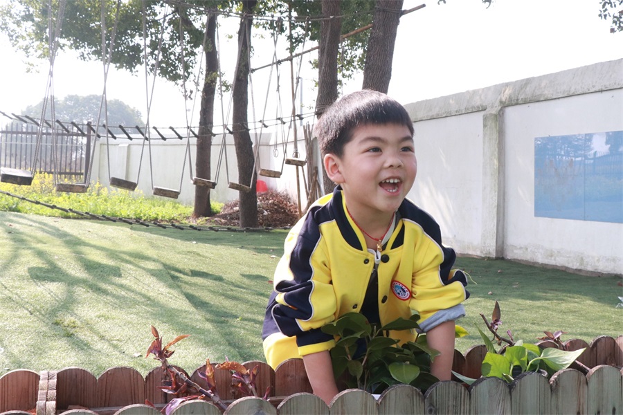 武陵区双观幼儿园开展植树节活动