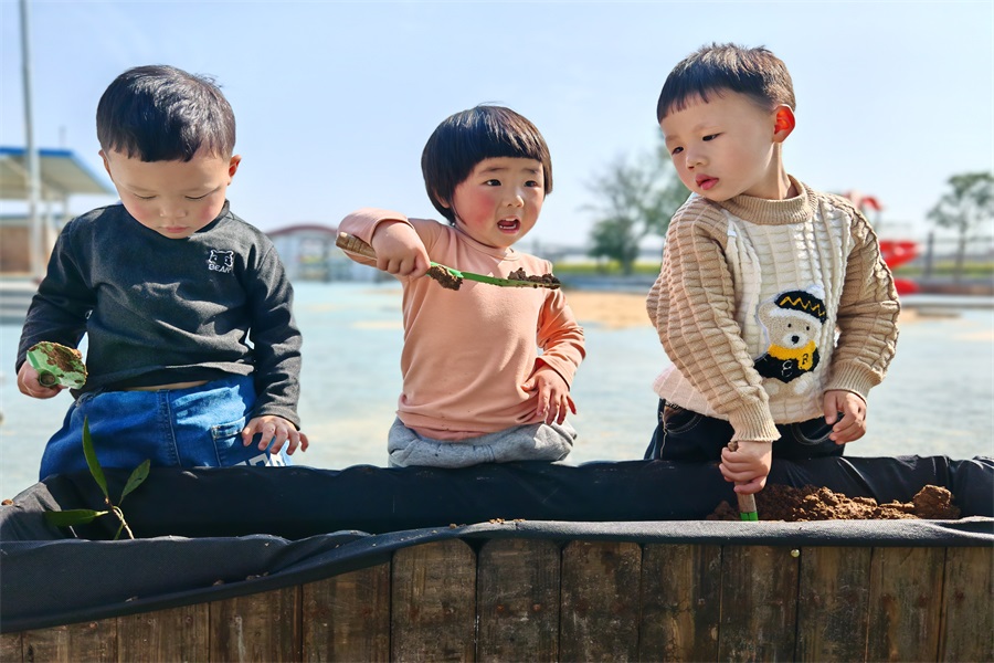 武陵区双观幼儿园开展植树节活动