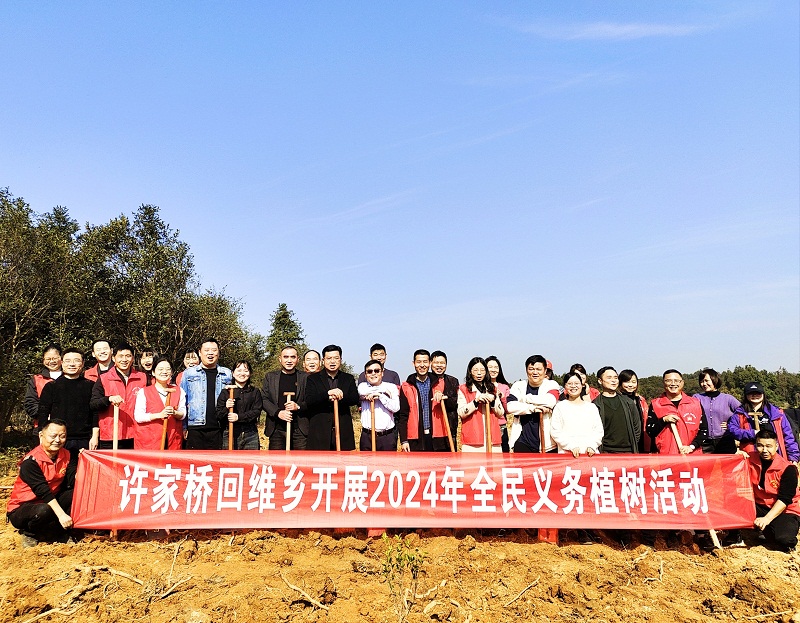 许家桥回维乡：积极开展义务植树活动