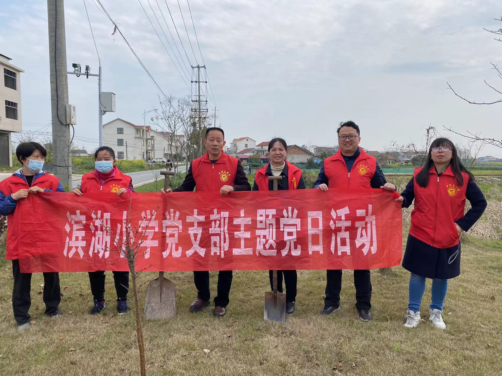 植一株小树 护一方家园