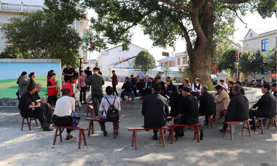 屋场树下谋发展，罗江镇“话事佬”重阳忙“话事”