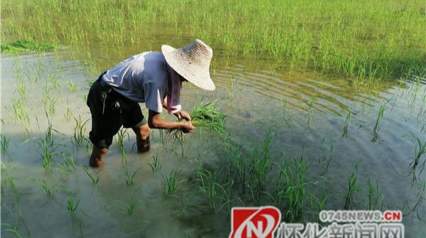 十一慶國慶相關(guān)專題報道