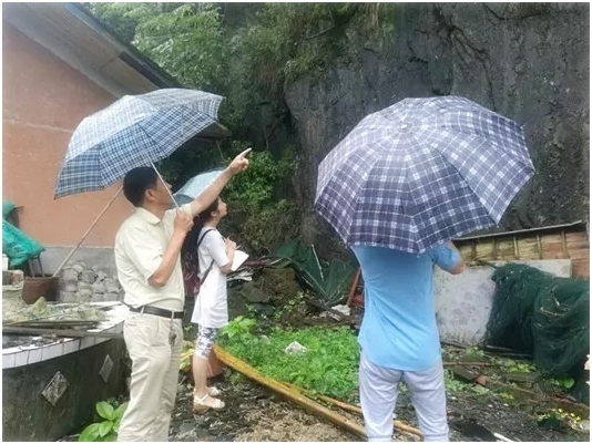 带领乡亲脱贫致富，他是洪江区乡村振兴路上的“最美新乡贤”