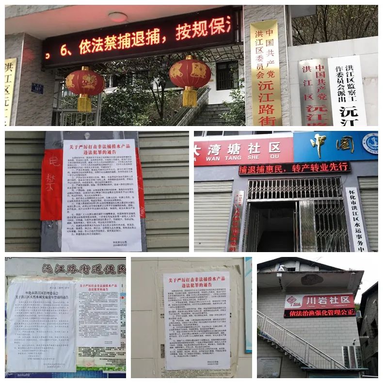 禁捕退捕，他們出實(shí)招、動(dòng)真格！