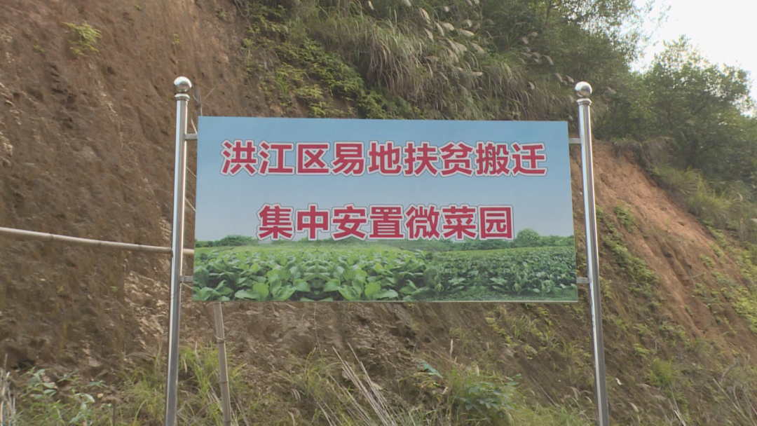 “微菜園”讓易地搬遷群眾找回了“鄉(xiāng)愁”
