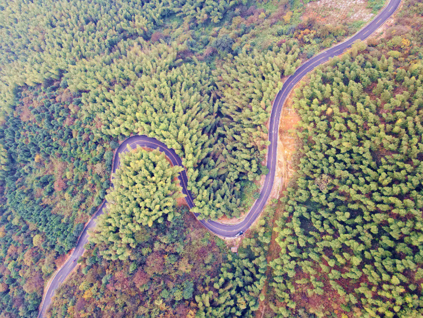 “新菖公路”：菖蒲村民的“致富路”