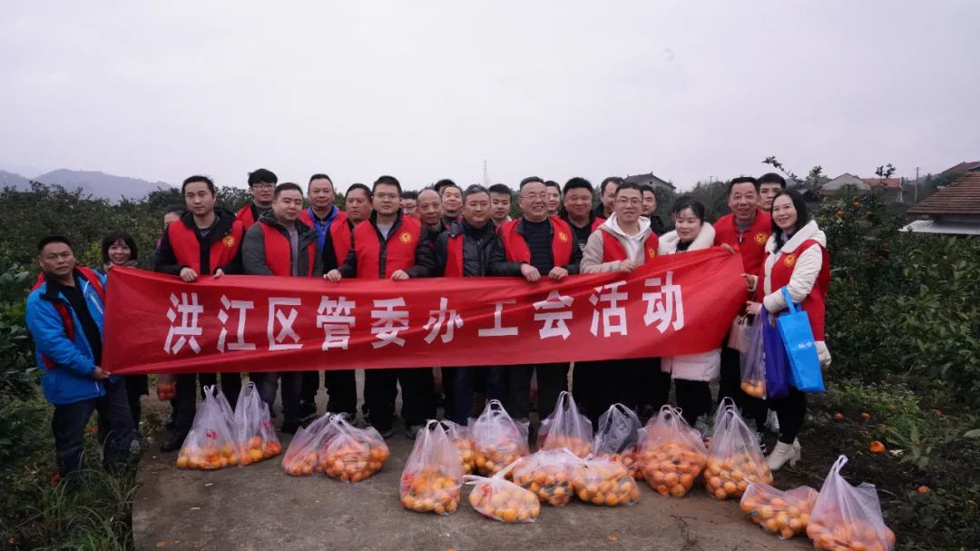 瞧，這里有支柑橘采摘小分隊(duì)！