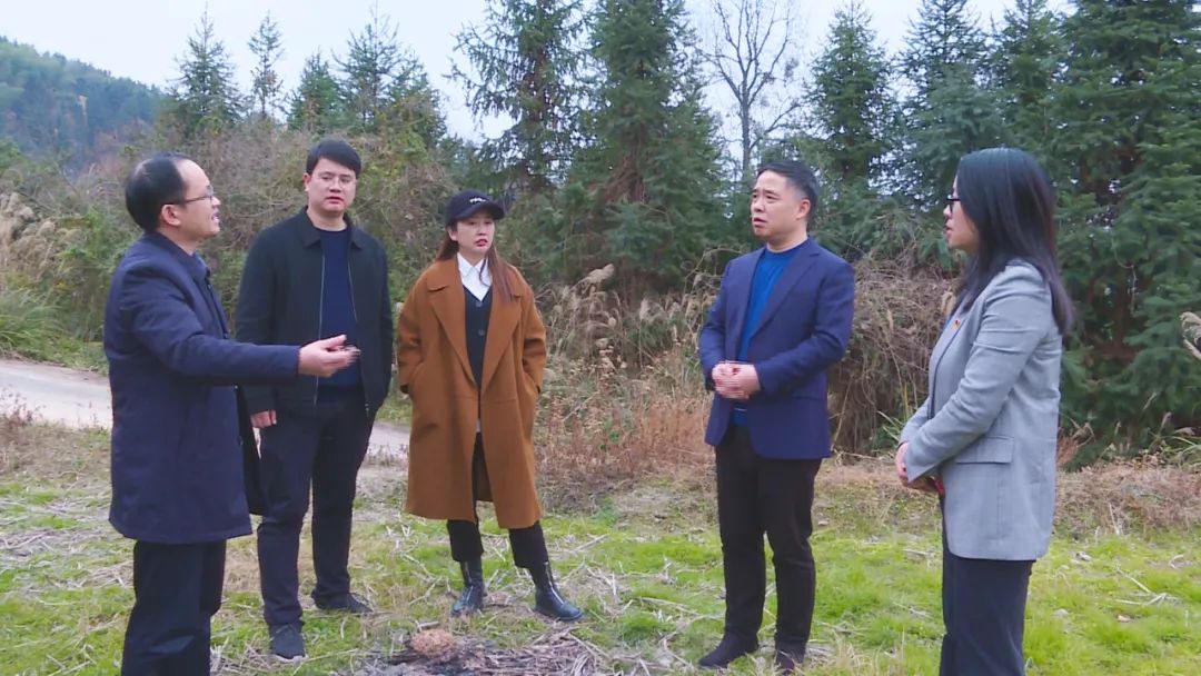 毛運鴻強調(diào)：加大品牌建設(shè) 全面提升精品農(nóng)業(yè)發(fā)展水平