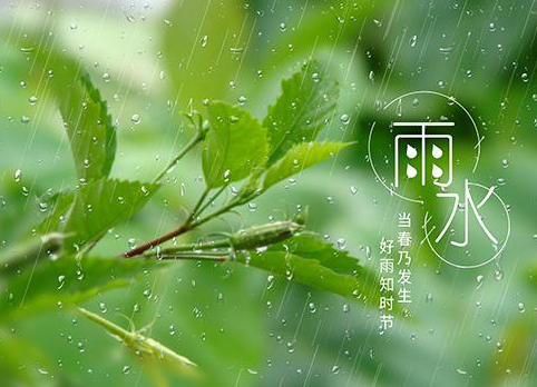 好雨知時(shí)節(jié)~