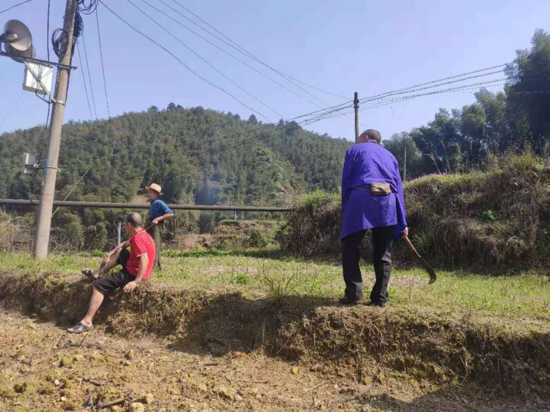 這波操作太贊！